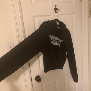 LEVI cropped hoodie (medium)
